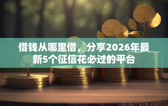 借钱从哪里借，分享2026年最新5个征信花必过的平台