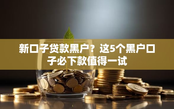 新口子贷款黑户？这5个黑户口子必下款值得一试