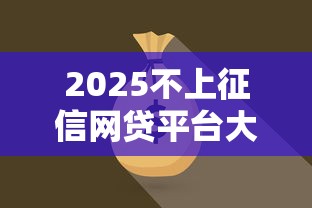 2025不上征信网贷平台大全