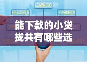 能下款的小贷拢共有哪些选择？9个网贷平台可靠详解