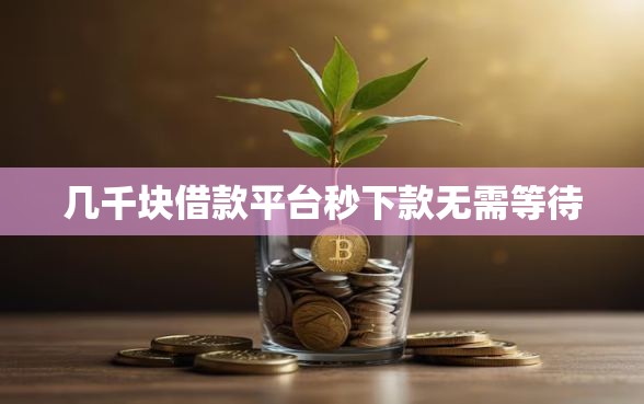 几千块借款平台秒下款无需等待