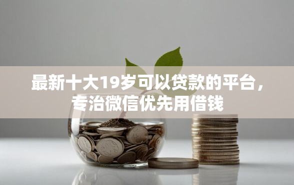 最新十大19岁可以贷款的平台，专治微信优先用借钱