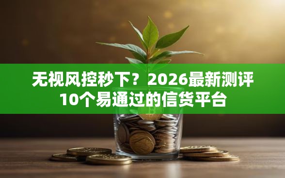 无视风控秒下？2026最新测评10个易通过的信货平台