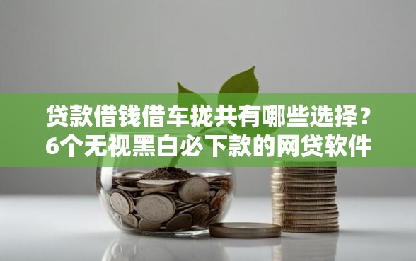 贷款借钱借车拢共有哪些选择？6个无视黑白必下款的网贷软件详解