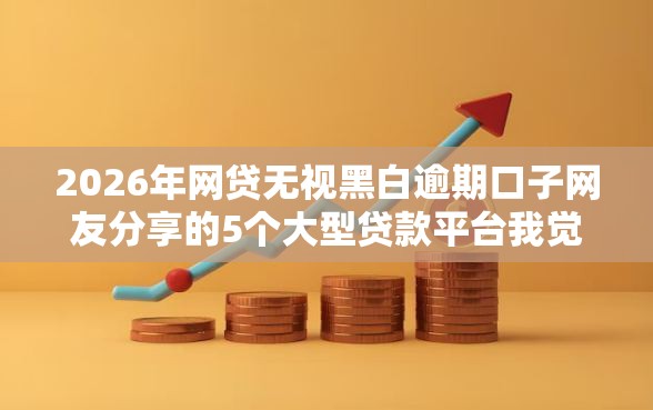 2026年网贷无视黑白逾期口子网友分享的5个大型贷款平台我觉得不错！