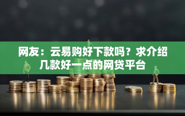 网友：云易购好下款吗？求介绍几款好一点的网贷平台