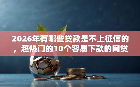 2026年有哪些贷款是不上征信的，超热门的10个容易下款的网贷口子推荐