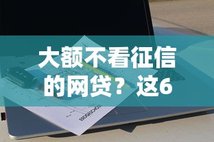 大额不看征信的网贷？这6个网贷平台排行值得一试