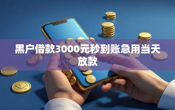 黑户借款3000元秒到账急用当天放款