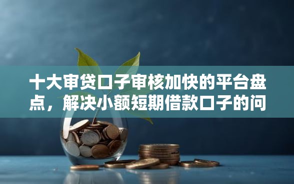 十大审贷口子审核加快的平台盘点，解决小额短期借款口子的问题