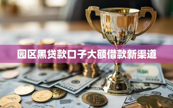 园区黑贷款口子大额借款新渠道