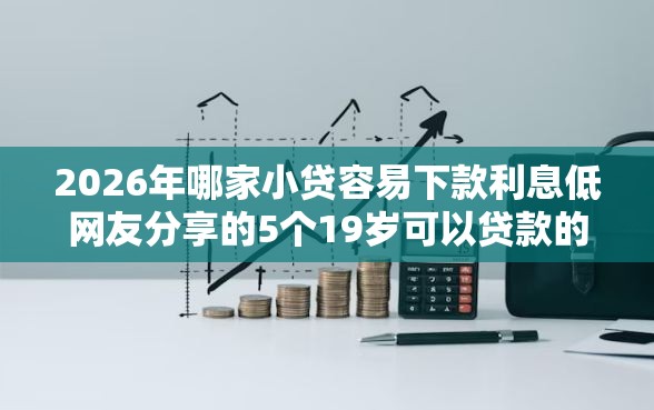 2026年哪家小贷容易下款利息低网友分享的5个19岁可以贷款的平台我觉得不错! 2026年哪家小贷容易下款利息低网友分享的5个19岁可以贷款的平台我觉得不错!
