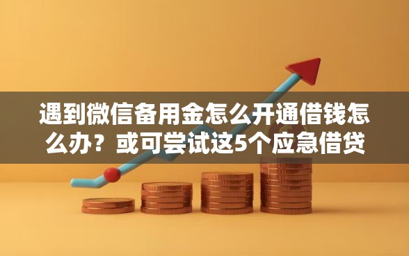 遇到微信备用金怎么开通借钱怎么办？或可尝试这5个应急借贷款500秒下平台
