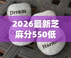2026最新芝麻分550低好下的口子，总结十个有适合60一65岁的贷款平台！