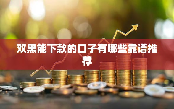 双黑能下款的口子有哪些靠谱推荐