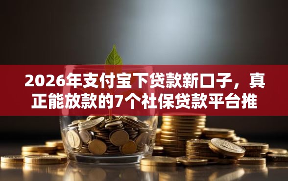 2026年支付宝下贷款新口子，真正能放款的7个社保贷款平台推荐