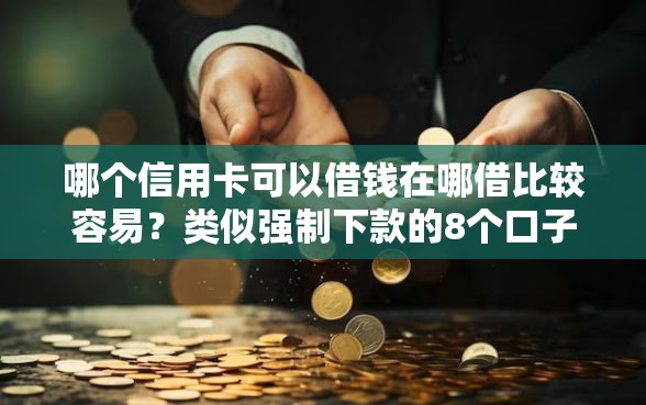 哪个信用卡可以借钱在哪借比较容易？类似强制下款的8个口子参考