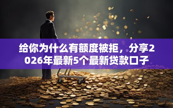 给你为什么有额度被拒，分享2026年最新5个最新贷款口子