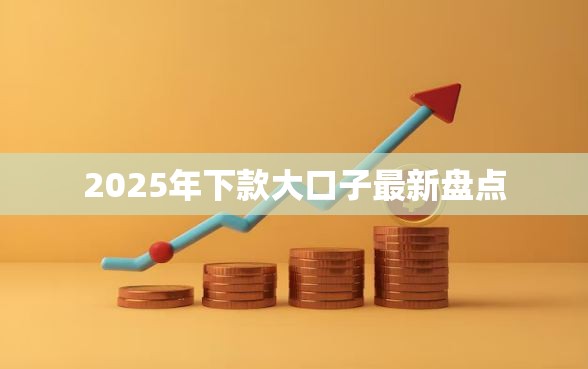 2025年下款大口子最新盘点
