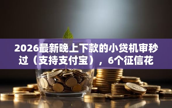 2026最新晚上下款的小贷机审秒过（支持支付宝），6个征信花了还能贷款的正规平台无私分享