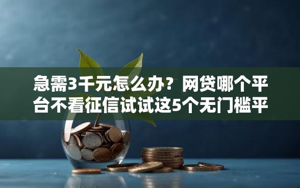 急需3千元怎么办？网贷哪个平台不看征信试试这5个无门槛平台