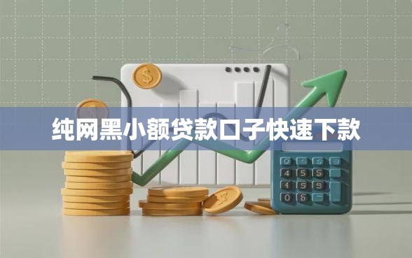 纯网黑小额贷款口子快速下款