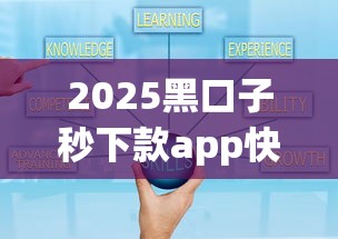 2025黑口子秒下款app快速放款攻略