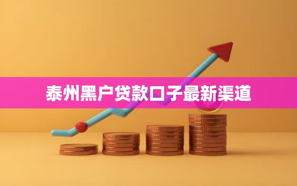 泰州黑户贷款口子最新渠道