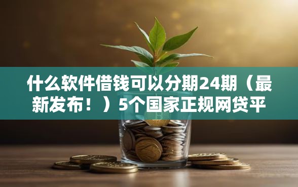 什么软件借钱可以分期24期（最新发布！）5个国家正规网贷平台