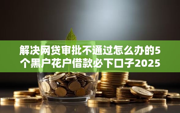 解决网贷审批不通过怎么办的5个黑户花户借款必下口子2025分享