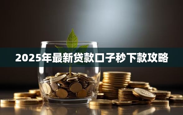 2025年最新贷款口子秒下款攻略