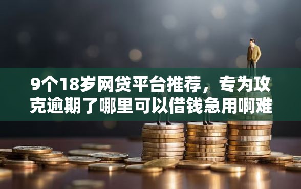 9个18岁网贷平台推荐，专为攻克逾期了哪里可以借钱急用啊难题