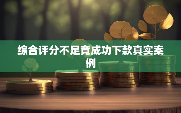 综合评分不足竟成功下款真实案例