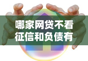 哪家网贷不看征信和负债有哪些？分享9个小米贷款平台