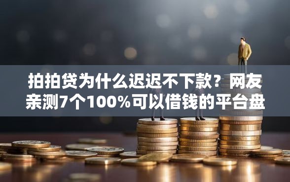 拍拍贷为什么迟迟不下款？网友亲测7个100%可以借钱的平台盘点