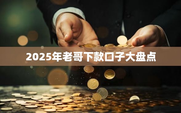 2025年老哥下款口子大盘点