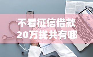 不看征信借款20万拢共有哪些选择？7个国家承认10家网贷平台详解