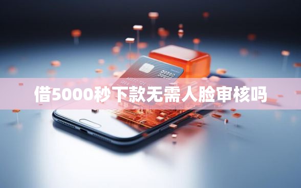借5000秒下款无需人脸审核吗