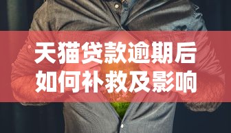 天猫贷款逾期后如何补救及影响