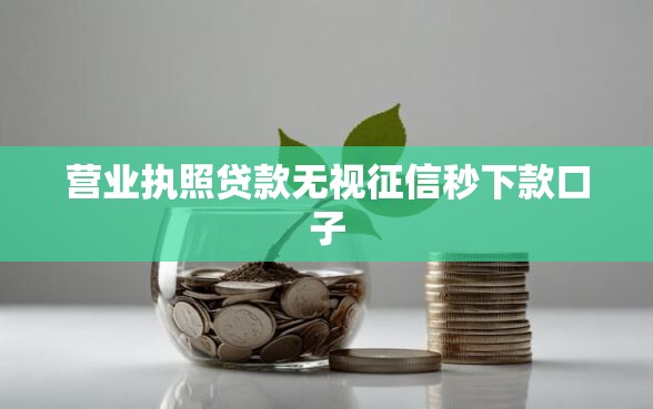 营业执照贷款无视征信秒下款口子