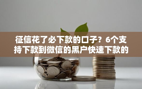 征信花了必下款的口子？6个支持下款到微信的黑户快速下款的口子