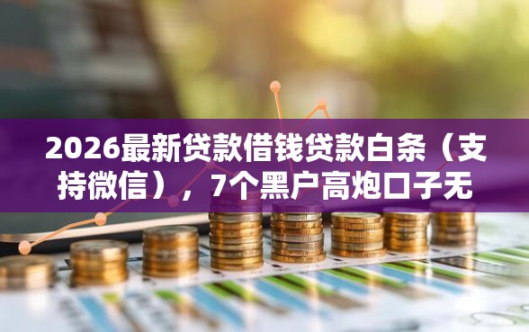 2026最新贷款借钱贷款白条（支持微信），7个黑户高炮口子无私分享