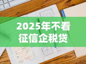 2025年不看征信企税贷产品盘点