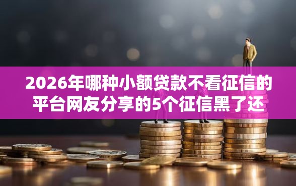 2026年哪种小额贷款不看征信的平台网友分享的5个征信黑了还有借款平台可以借钱我觉得不错！