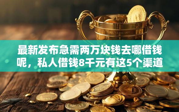 最新发布急需两万块钱去哪借钱呢，私人借钱8千元有这5个渠道
