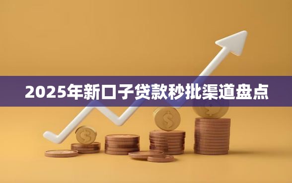 2025年新口子贷款秒批渠道盘点