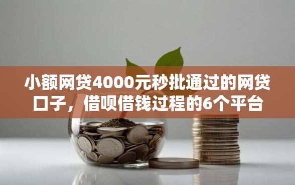 小额网贷4000元秒批通过的网贷口子，借呗借钱过程的6个平台介绍