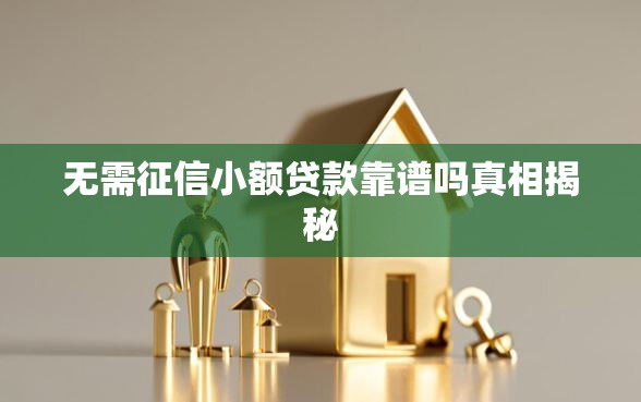 无需征信小额贷款靠谱吗真相揭秘