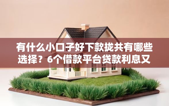有什么小口子好下款拢共有哪些选择？6个借款平台贷款利息又低又正规详解