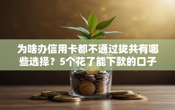 为啥办信用卡都不通过拢共有哪些选择？5个花了能下款的口子详解